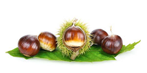 Castagne