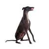 Greyhound