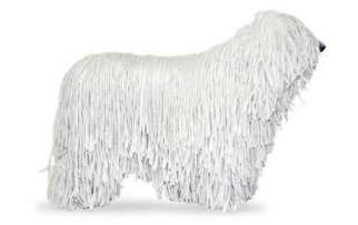 Komondor