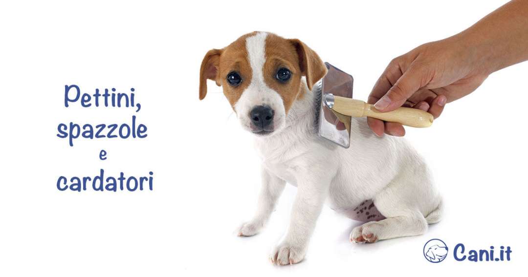 Pettini, spazzole e cardatori per cane