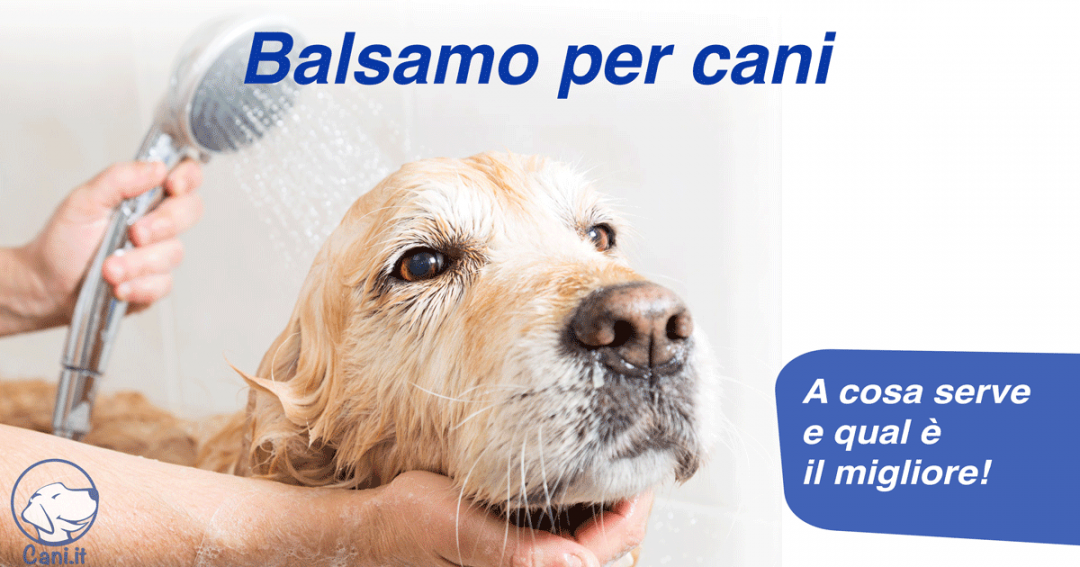 Peli cane  Acquisti Online su