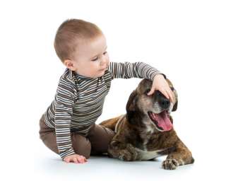 Rapporto cane-bambino: delicato, importante e davvero speciale