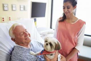 Relazionarsi con gli utenti: la pet therapy che fa bene all'umore