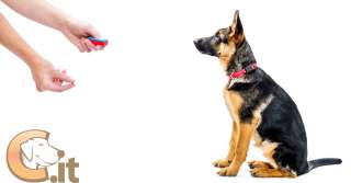 Cos'è il clicker training - Addestramento cani