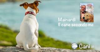 Mainardi: il cane secondo me