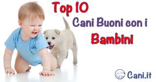 Migliori cani adatti ai bambini