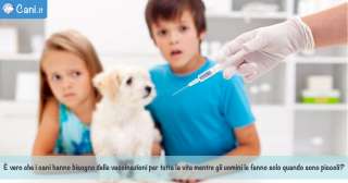 Vaccinazioni dei cani