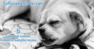 Soffocamento dei cani