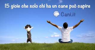 15 gioie che solo chi ha un cane può capire 