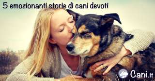 5 emozionanti storie di cani devoti