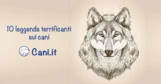 10 leggende terrificanti sui cani