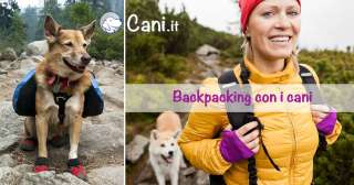 Backpacking con i cani