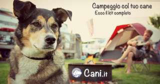 Campeggio col tuo cane: ecco il kit completo