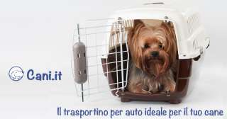 Il trasportino per auto ideale per il tuo cane