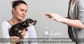 5 migliori razze per la difesa personale