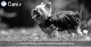 Il primo cane da terapia della storia