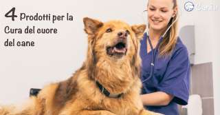 4 prodotti per la cura del cuore del cane