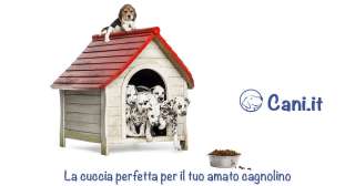 La cuccia perfetta per il tuo amato cagnolino