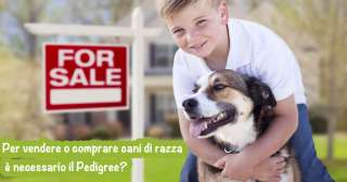 Per vendere o comprare cani di razza è necessario il Pedigree?