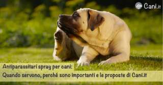 Antiparassitari spray per cani