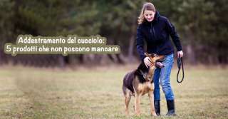 Addestramento del cucciolo: 5 prodotti che non possono mancare