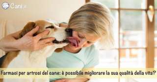 Farmaci per artrosi del cane: è possibile migliorare la sua qualità della vita?