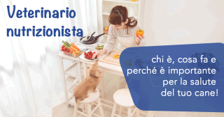 Veterinario nutrizionista: chi è, cosa fa e perché è importante per la salute del tuo cane!