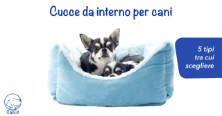 Cucce da interno per cani: 5 tipi tra cui scegliere