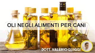 L'olio negli alimenti per cani