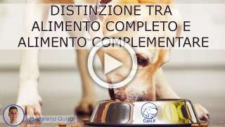 Differenza tra alimento completo e alimento complementare