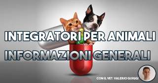 Live con Valerio Guiggi sugli integratori per cani