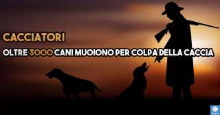 Cacciatori, oltre 3000 cani muoiono per colpa della caccia