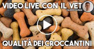 Qualità dei croccantini - Video con il Vet