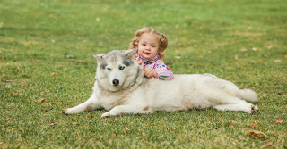 Perché i bambini vengono morsi spesso dai cani?