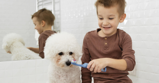 Alito cattivo: perché il tuo cane ne soffre e come puoi rimediare