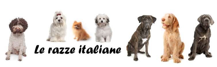 [Cani] Razze Italiane