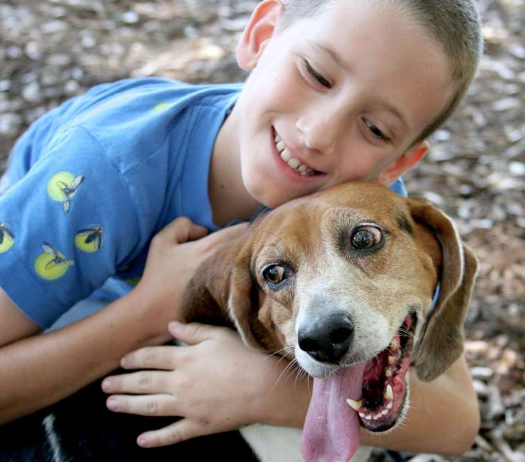 Cani e bambini, convivenza possibile