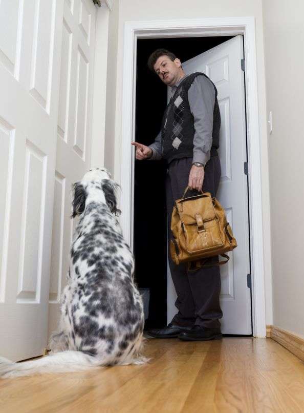 Ecco come insegnare ad un cane a non scappare con la porta aperta