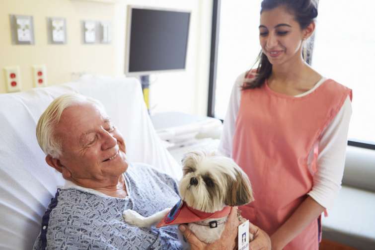 Relazionarsi con gli utenti: la pet therapy che fa bene all\'umore