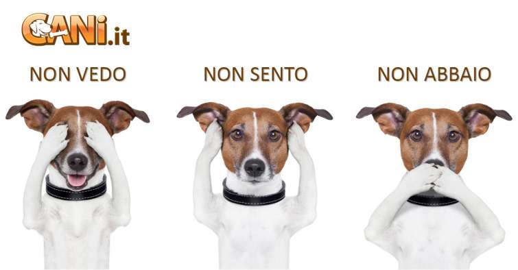 Le razze canine più \