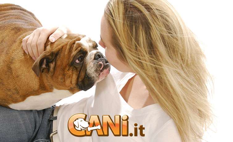 Cani: uno studio rivela che capiscono il linguaggio umano