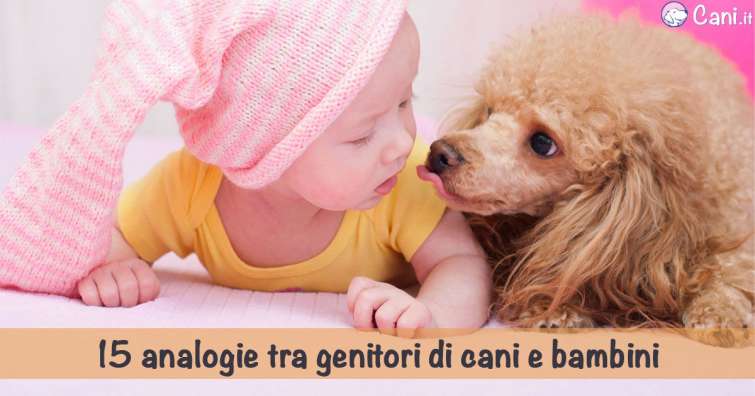 15 analogie tra genitori di cani e bambini