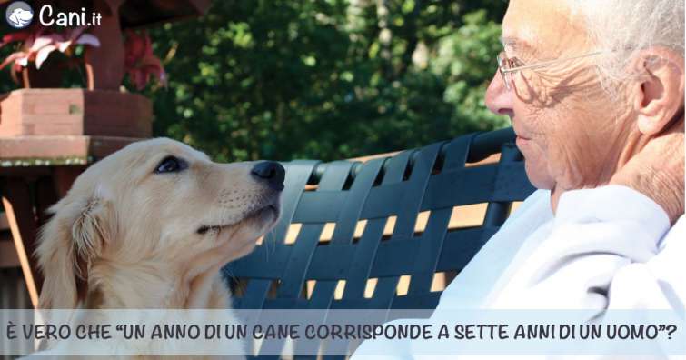 È vero che “un anno di un cane corrisponde a sette anni di un uomo”?