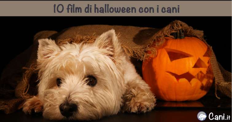 10 film di halloween con i cani