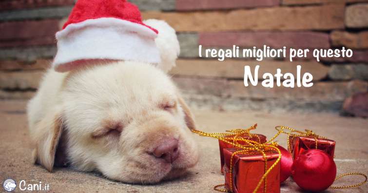 I regali migliori per questo Natale