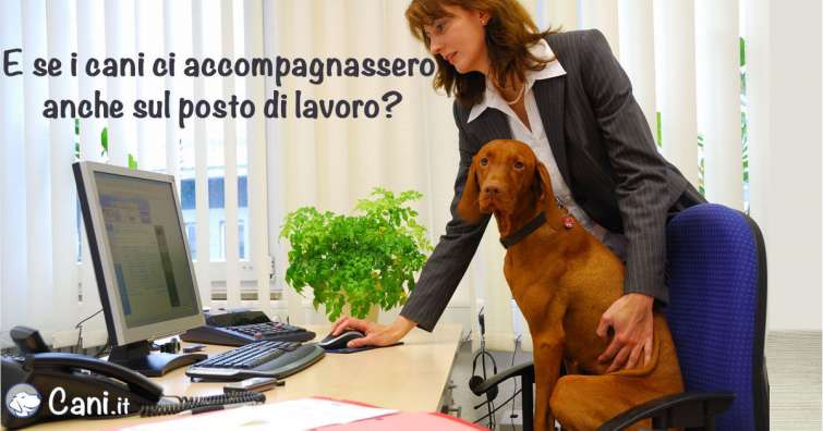 Cani sul posto di lavoro