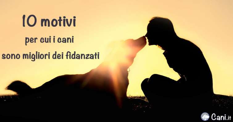 10 motivi per cui i cani sono migliori dei fidanzati