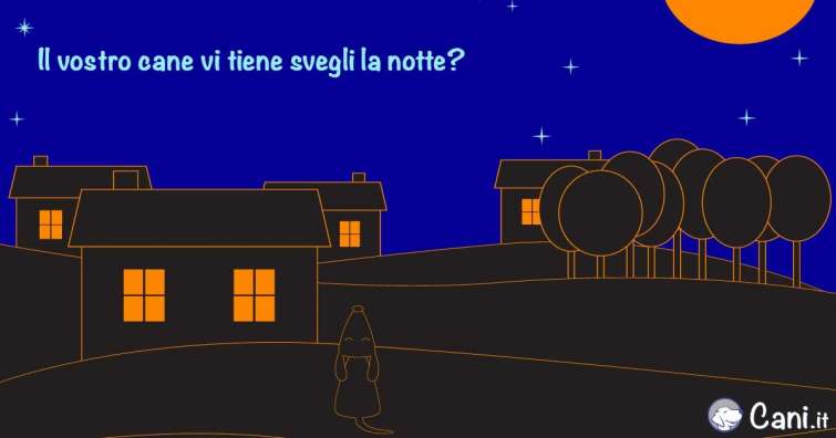 Il vostro cane vi tiene svegli la notte?