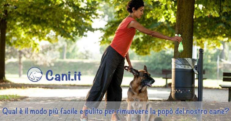 Qual è il modo più facile e pulito per rimuovere la popò del nostro cane?