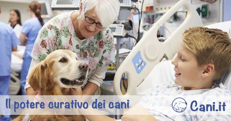 Il potere curativo dei cani